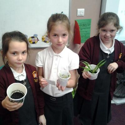 0579aae34648466591e77a0cc0cf74f41x1