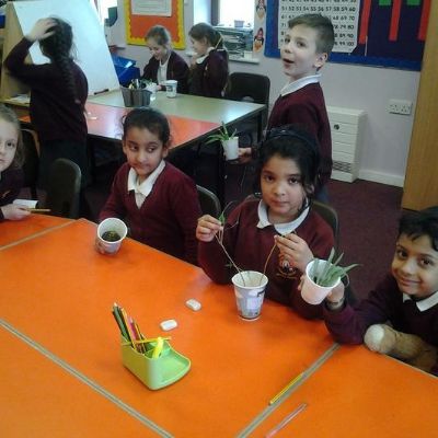 0b226ed067f846acb006bee5026332811x1