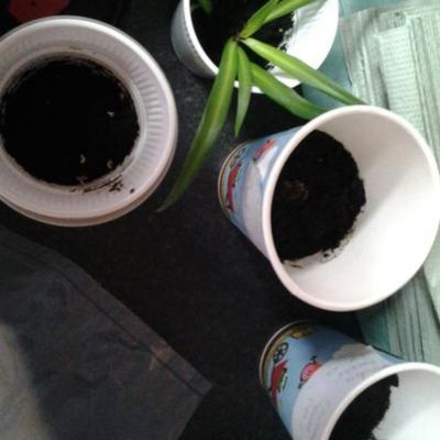 2088d85c787445c0b5b964a84713f6fc1x1