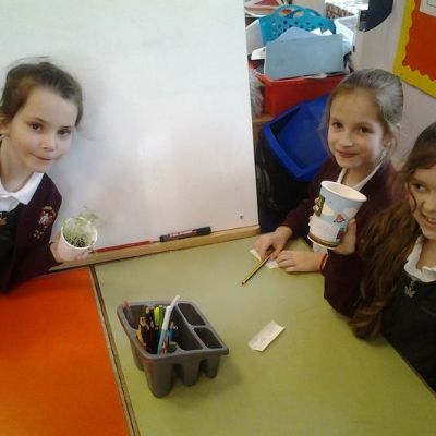 3c1bfd15fd9e45a5b37d29553b1cfb2c1x1