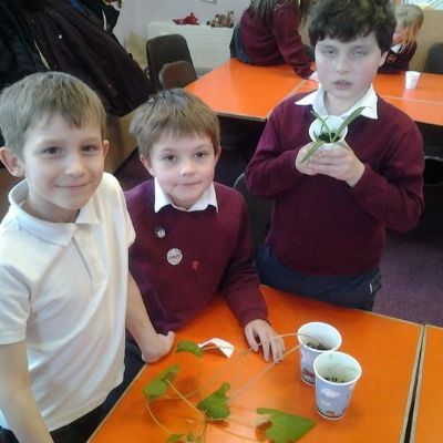 3fea19fa1be7496590c213a3473bfaf11x1