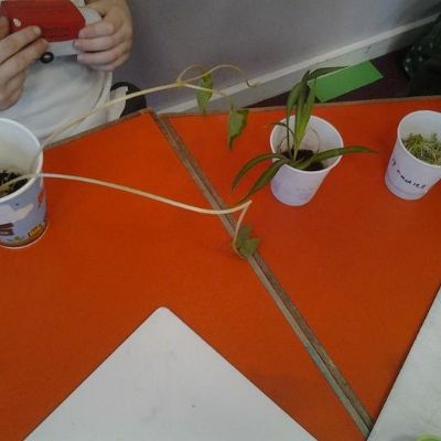 47d5389038c44e2dac4702e19e9b69001x1