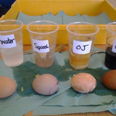 9fda6538f54f423b9ea8a7c1d8d5f2701x1