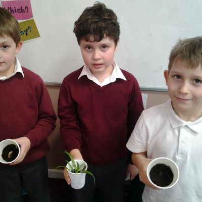 b982707a075043c293e8b8894dd091bb1x1