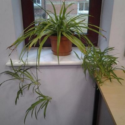 bf1013ede8034cdea87e7edb735d23cc1x1