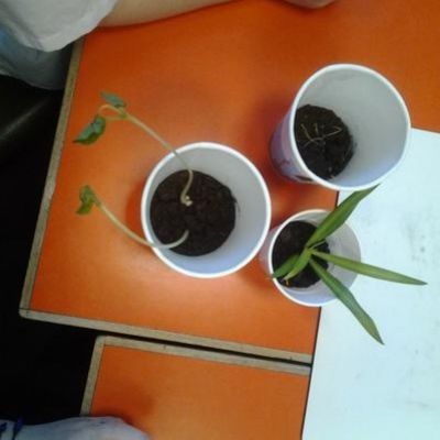 d53132093031467ebe652add5502fd381x1