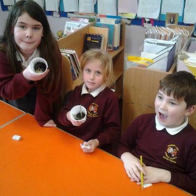 d884e03b936741759077e4a84661b4321x1