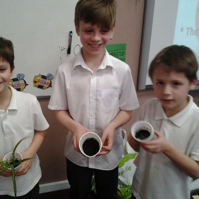 eefc7c6ea0384a41adb350d8428f209e1x1