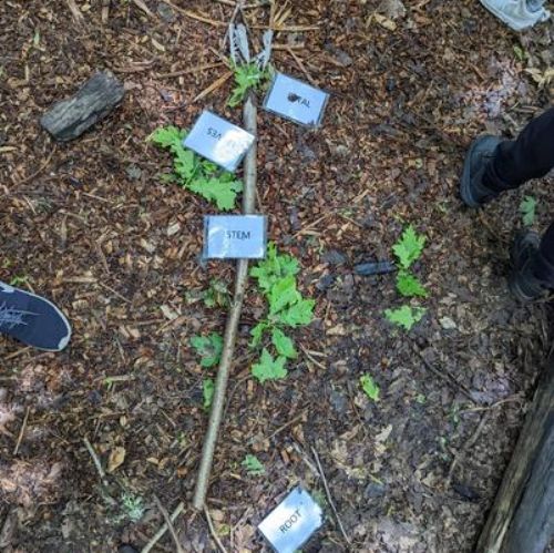 Year 1 Trip to Testwood Lakes