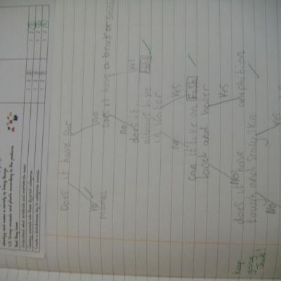 51536185-6708-4d20-9f83-5af96cb2a4ab1x1