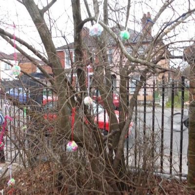 b3beb78c-531e-46fa-b725-ee761d1caaac1x1