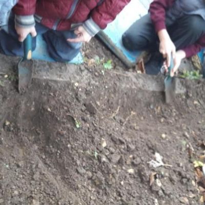 a0f552343fd14ba3bc63253751c19a0b1x1