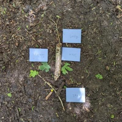 05160c22-0b4e-4c6d-b141-7f357b2d398d1x1