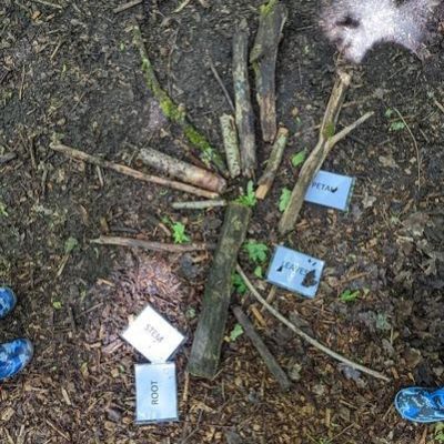 0e808ce3-a413-4c00-ae9d-694c35e251cc1x1