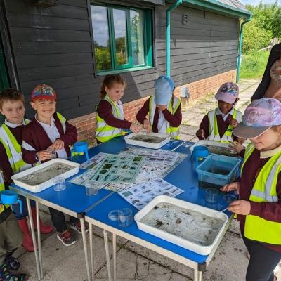 1ba896c7-c1c5-4d14-896a-59e84e5195041x1