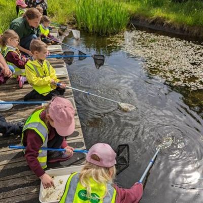 31dbd728-e54a-4ed9-81bd-fe5bd91dcc091x1