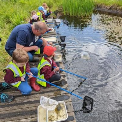 333d3328-f056-4417-881b-a22afc9a33e31x1