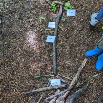 6e61ca10-476d-4f53-a4b6-339e47dbe8e71x1