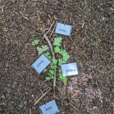 89b34d3d-55e9-427d-983d-78f46684d1231x1