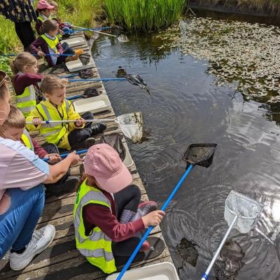 aa2f818c-463f-45b9-b682-39c4c10eedd31x1