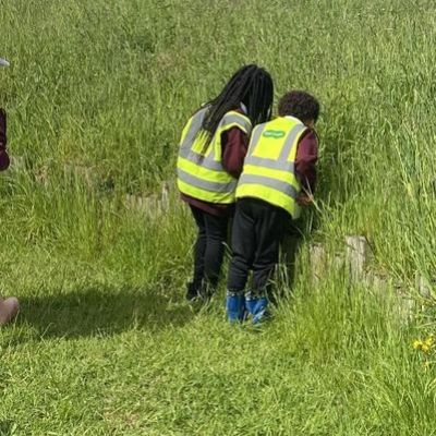 d248febd-13d3-481c-97d9-c55082b45d361x1