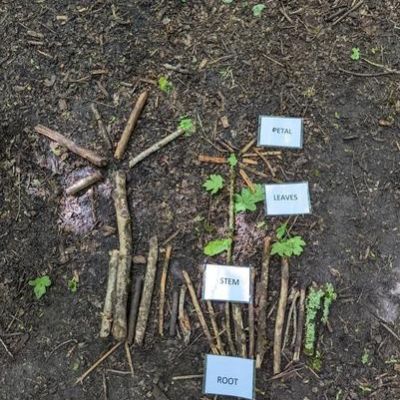 ef4eb58b-f474-4d2f-86fb-3f4e866132781x1