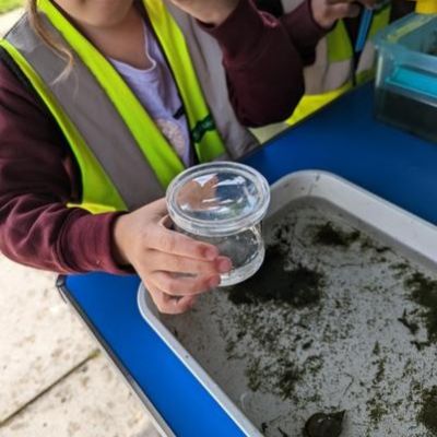 fcf99c85-bcc8-4776-9f73-ba0f9ca573431x1