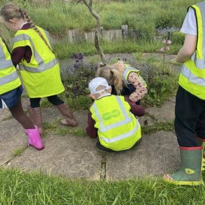 ffd771fc-fd76-4e59-b57e-321cb3ba25061x1