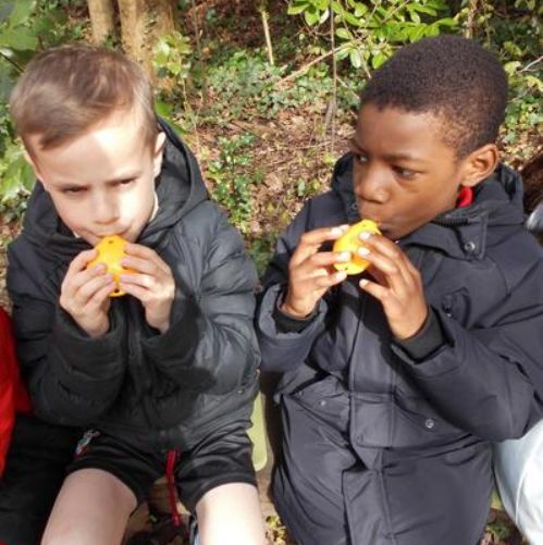 We had a lovely outdoor learning day with Steve. Two blue tits and a robin came to visit us.