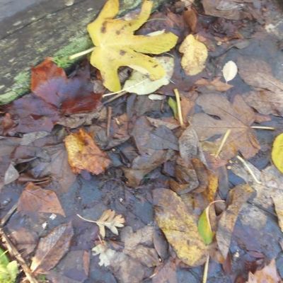 2264197e-1497-40b0-b316-07147085d1291x1