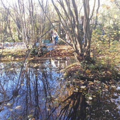 a886e3a7-c78d-4082-b567-5a9810a61d931x1